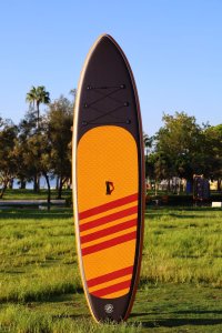 Kuru Kafa Temalı SUP